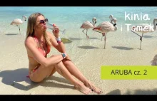 Aruba Karaiby - wizyta na wyspie flamingów.