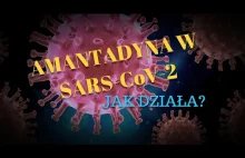 Mechanizmy działania amantadyny w SARS-CoV-2 - opis naukowy