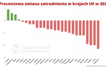 Zatrudnienie w 2020 - Europa w dół, Polska w górę