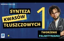 Synteza kwasów tłuszczowych cz.1 - Podstawy - tworzenie palmitynianu