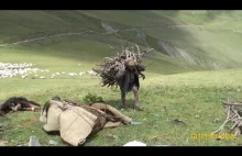 Ciężkie życie nepalskich pasterzy