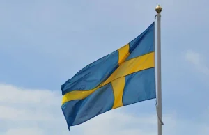 Małżeństwa dzieci w Szwecji? Rząd proponuje nowe prawo.