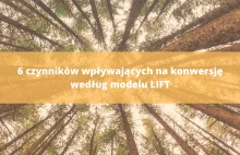 6 czynników wpływających na konwersję według modelu LIFT