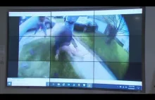 Wideo z kamery policjanta w sprawie Ma'Khia Bryant