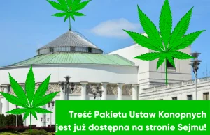Treść projektu ustaw konopnych na sejm.gov.pl