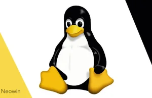 Uniwersytet w Minesocie zbanowany za celowe wprowadzanie błędnego kodu do Linuxa