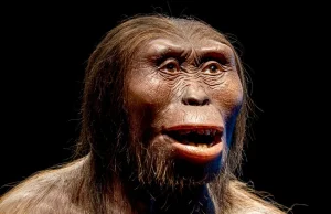 Czy ludzie współcześni krzyżowali się z neandertalczykami?