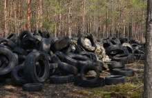 Sterta tysięcy opon i śmieci w lesie. Leśnicy załamują ręce. Kim są sprawcy?