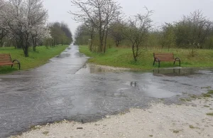 Urzędnik porównał mieszkańca do hitlerowców, bo ten postawił ławeczki