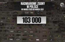 Fakty TVN: 4-minutowa orka rządowej walki z pandemią