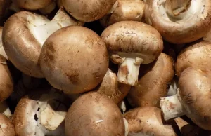 Jedzenie grzybów może zmniejszyć ryzyko zachorowania na raka (BADANIA)