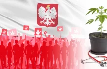 Rząd wyraził zgodę na polskie uprawy medycznej marihuany oraz 0,3% THC w...