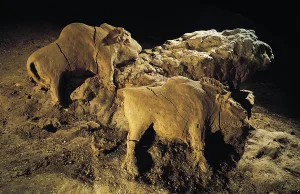 Rzeźba żubra sprzed 14 000 lat znaleziona w jaskini Le Tuc d'Audoubert, Francja.