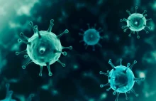 Rekordowo zmutowany wariant koronawirusa z Afryki