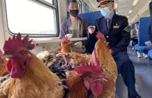 Chiny: pociąg pasażersko-zwierzęcy