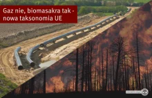 Unia wyklucza inwestycje gazowe ale zgadza się na palenie lasami w elektrowniach