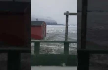 Nieopublikowane dotąd nagranie tsunami z Grenlandii z 2017 roku