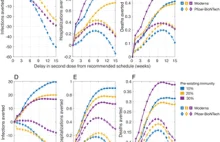 Wpływ strategii opóźnienia drugiej dawki szczepień na skuteczność walki z covid