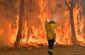 Naukowiec z administracji Obamy: katastrofa klimatyczna to przesąd.