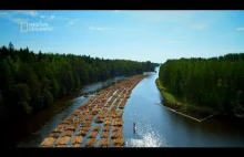 autostrada wodna dla drewna