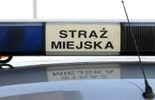 Bunt strażników miejskich w Łodzi. Nie chcą kontrolować przedsiębiorców