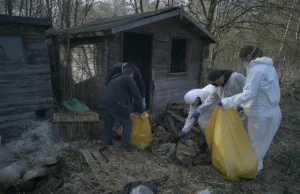 Uśmiercili ponad 250 psów. Pseudohodowcy z zarzutami