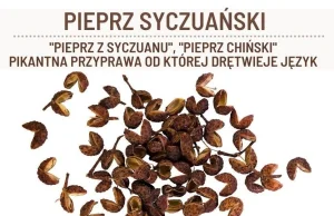 Pieprz syczuański - jak go stosować w kuchni i jakie ma zalety?