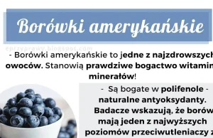 Borówka amerykańska - jeden z najzdrowszych owoców świata!