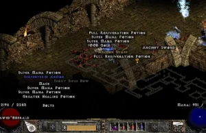 Po czterech latach grania zebrał wszystkie unikalne przedmioty w Diablo 2