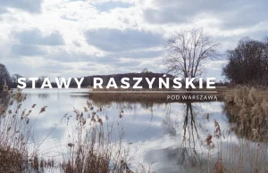 Stawy Raszyńskie - historyczny rezerwat pod Warszawą