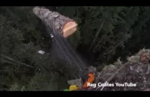 Ścinanie drzewa.