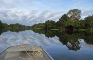 Amazonia przestaje być Zielonych Płucami Ziemi.