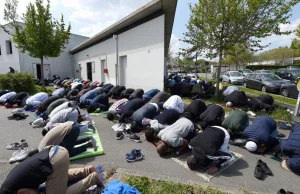 Połowa Francji za interwencją armii. Muzułmański separatyzm, przestępczość.