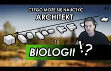 Czego architekt może się nauczyć z biologii?