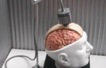 Naukowcom udało się bezprzewodowo połączyć ludzki mózg z komputerem