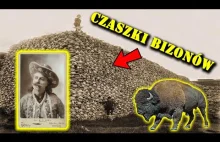 Ile Bizonów Zabił Buffalo Bill - Czyli Magia Dzikiego Zachodu