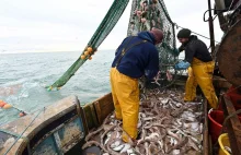 Francja grozi wyspie Jersey odwetem za blokowanie dostępu francuskim rybakom