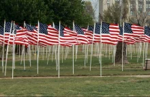 Sondaż. Niemcy uważają, że wpływ USA na demokrację jest negatywny