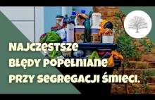 Recykling i segregacja śmieci, czy na pewno właściwie segregujesz odpadki?