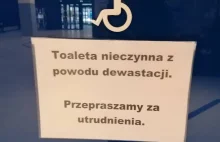 Robią kupy na podłogę, kradną deski sedesowe - Polbus Wrocław