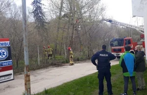 12-latek wspiął się na słup średniego napięcia. Makabryczny finał