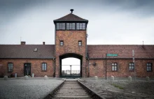 Komory gazowe Auschwitz to... "zabawa dla całej rodziny" ?