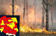 Duże ryzyko pożarów w większości kraju. Czyli jak zasadzić sosnę w całym kraju=$