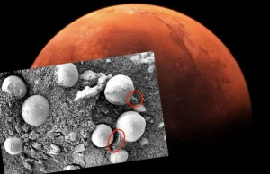 Na Marsie znaleziono obiekty, mogące być grzybami