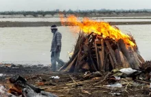 Kilkadziesiąt ciał wyrzucone przez wody Gangesu