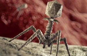 Niektóre wirusy mają zupełnie inny genom niż reszta życia na Ziemi.