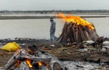 Wstrząsające obrazy. Dziesiątki dryfujących ciał w Gangesie