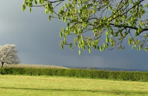 Deszcze, burze i chłodniej. Pogoda na czwartek