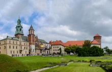 Kraków ze względu na zmiany klimatyczne zmniejsza częstotliwość koszenia traw