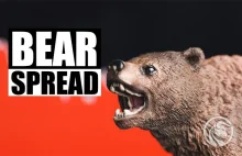 BEAR SPREAD. Czym jest strategia spreadu niedźwiedzia?